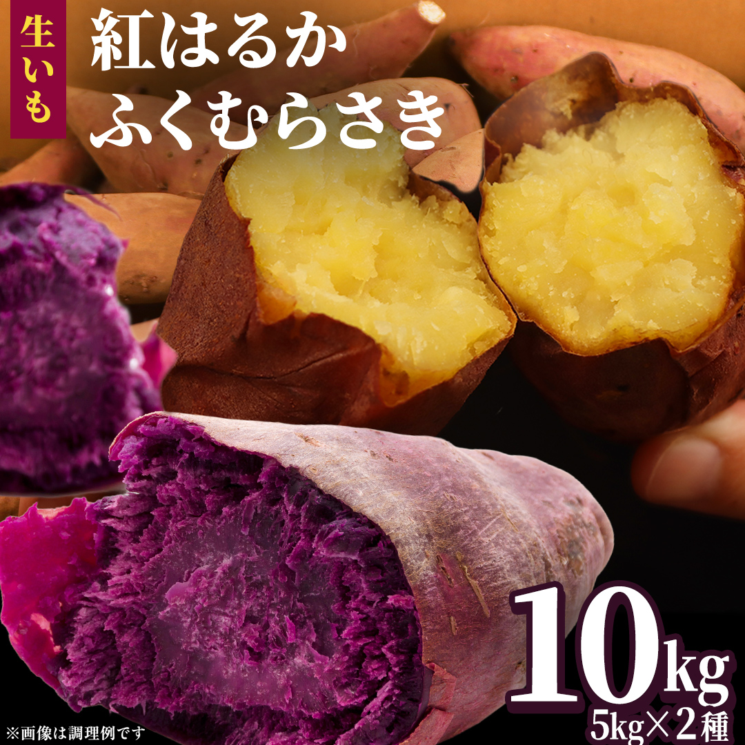さつまいも 【 紅はるか ・ ふくむらさき 】 5kg ( 箱込 )の 2箱セット さつまいも 詰合せ 国産 農園 野菜 サツマイモ 芋 期間限定 デザート スイーツ おやつ 料理 味噌汁 煮物 生芋