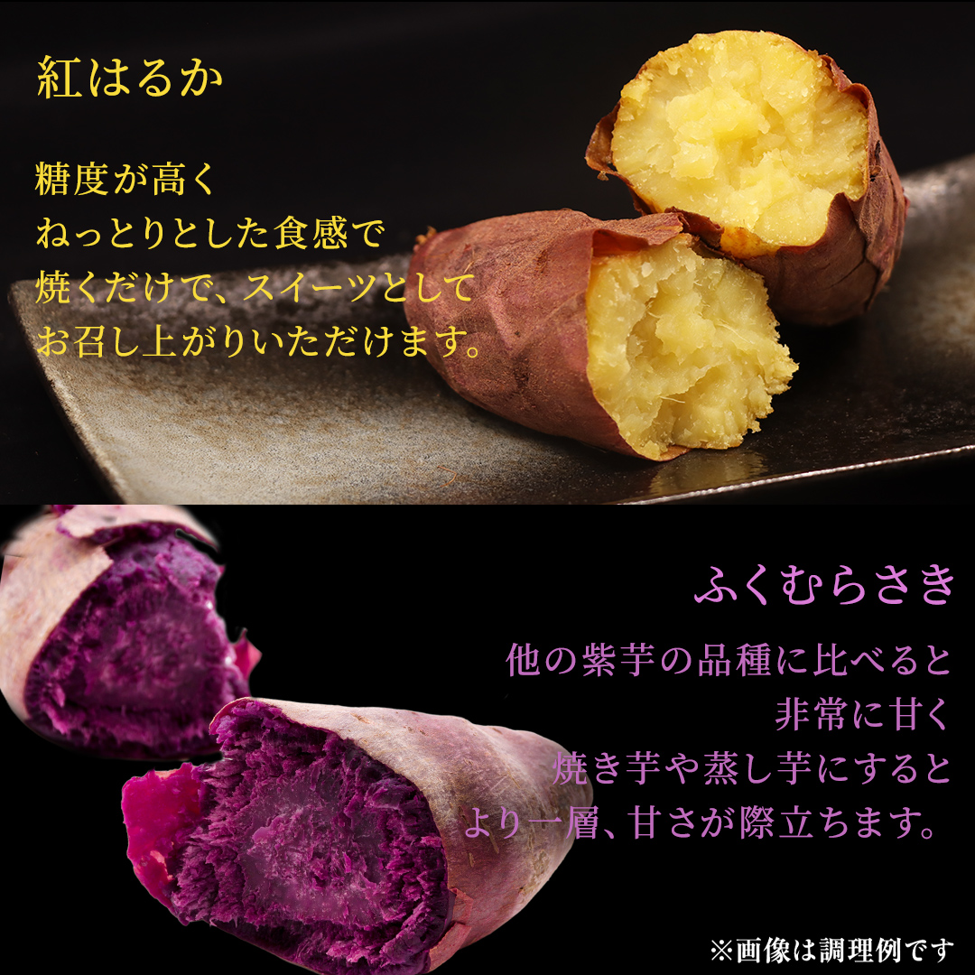さつまいも 【 紅はるか ・ ふくむらさき 】 5kg ( 箱込 )の 2箱セット さつまいも 詰合せ 国産 農園 野菜 サツマイモ 芋 期間限定 デザート スイーツ おやつ 料理 味噌汁 煮物 生芋