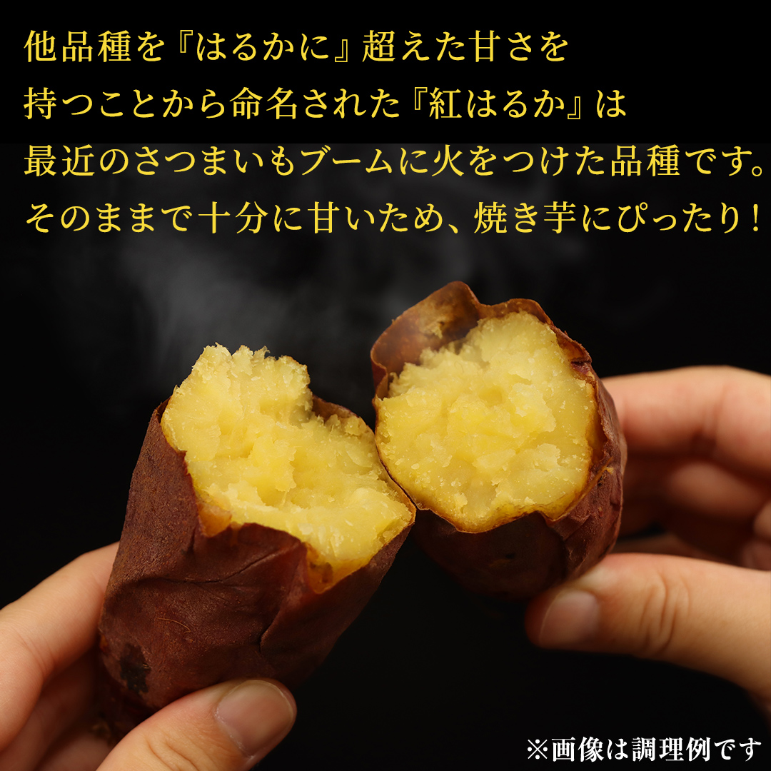 さつまいも 【 紅はるか ・ ふくむらさき 】 5kg ( 箱込 )の 2箱セット さつまいも 詰合せ 国産 農園 野菜 サツマイモ 芋 期間限定 デザート スイーツ おやつ 料理 味噌汁 煮物 生芋