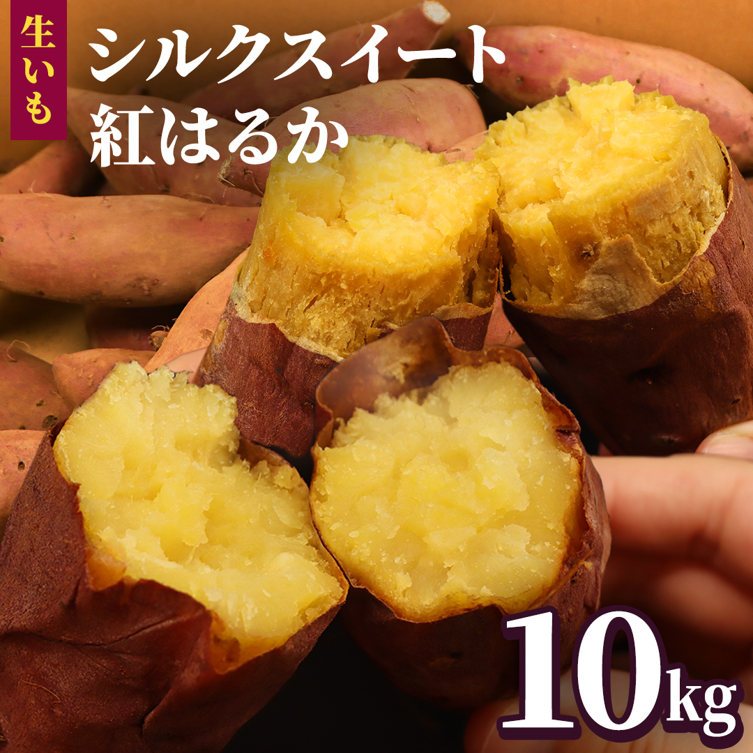 さつまいも 【 シルクスイート ・ 紅はるか 】 5kg ( 箱込 )の 2箱セット さつまいも 詰合せ 国産 農園 野菜 サツマイモ 芋 期間限定 デザート スイーツ おやつ 料理 味噌汁 煮物 生芋