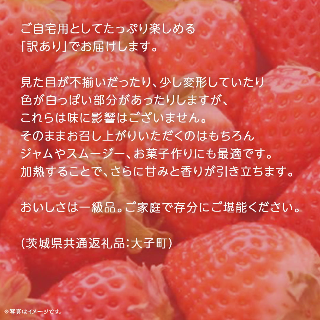 訳ありいちご 5kg【2026年1月発送開始】(茨城県共通返礼品：大子町) 苺 果物 フルーツ 果実 ご家庭用 	
