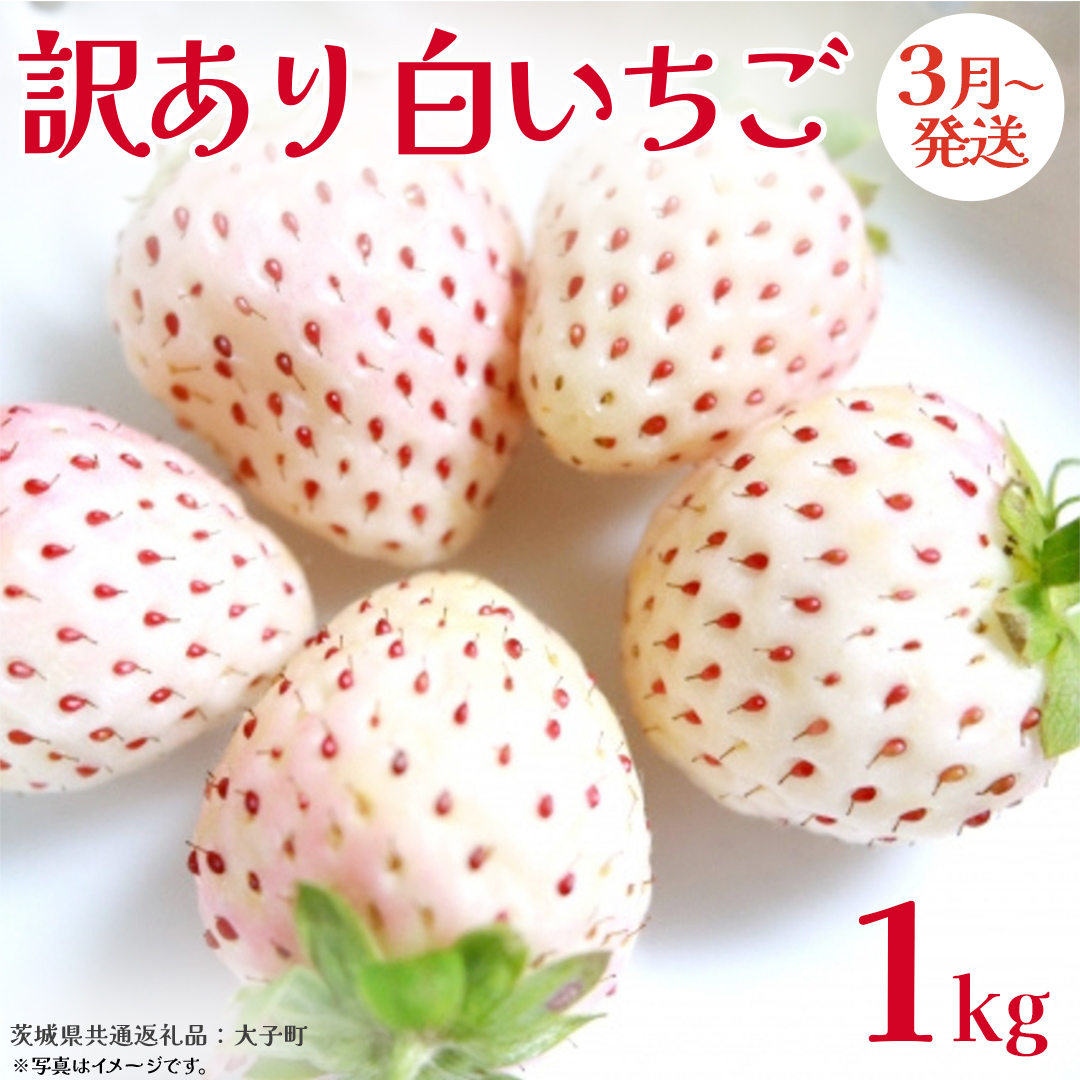 訳あり 白いちご 1kg【2026年3月発送開始】(茨城県共通返礼品：大子町) 苺 果物 フルーツ 果実 ご家庭用
