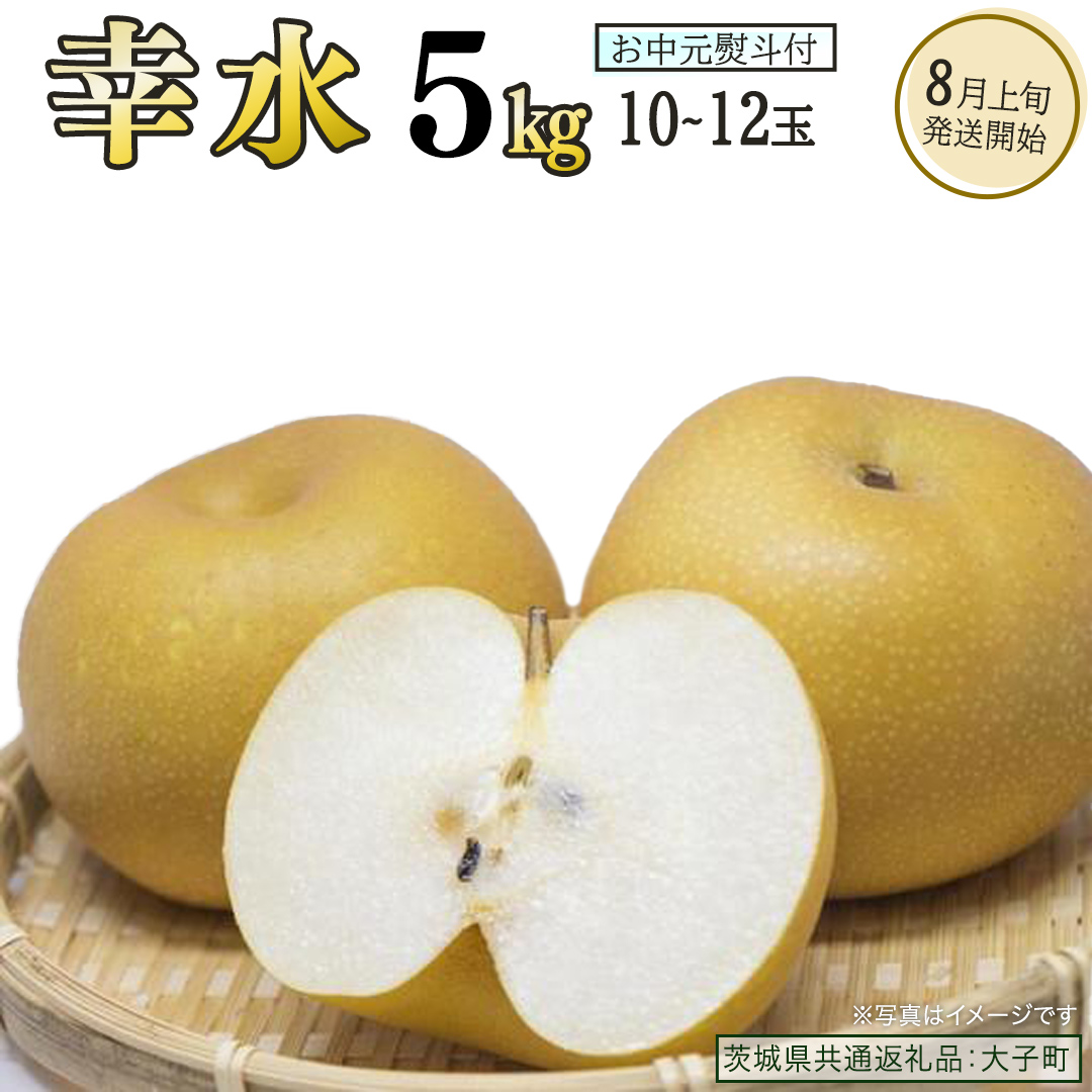 【 お中元 熨斗付き 】 幸水 約5kg (10～12玉)【2026年8月上旬発送開始】(茨城県共通返礼品：大子町) 梨 なし 果物 くだもの フルーツ