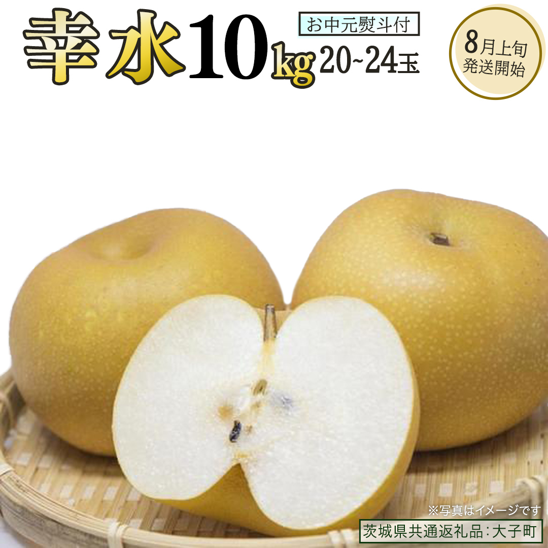 【 お中元 熨斗付き 】 幸水 約10kg (20～24玉)【2026年8月上旬発送開始】(茨城県共通返礼品：大子町) 梨 なし 果物 くだもの フルーツ