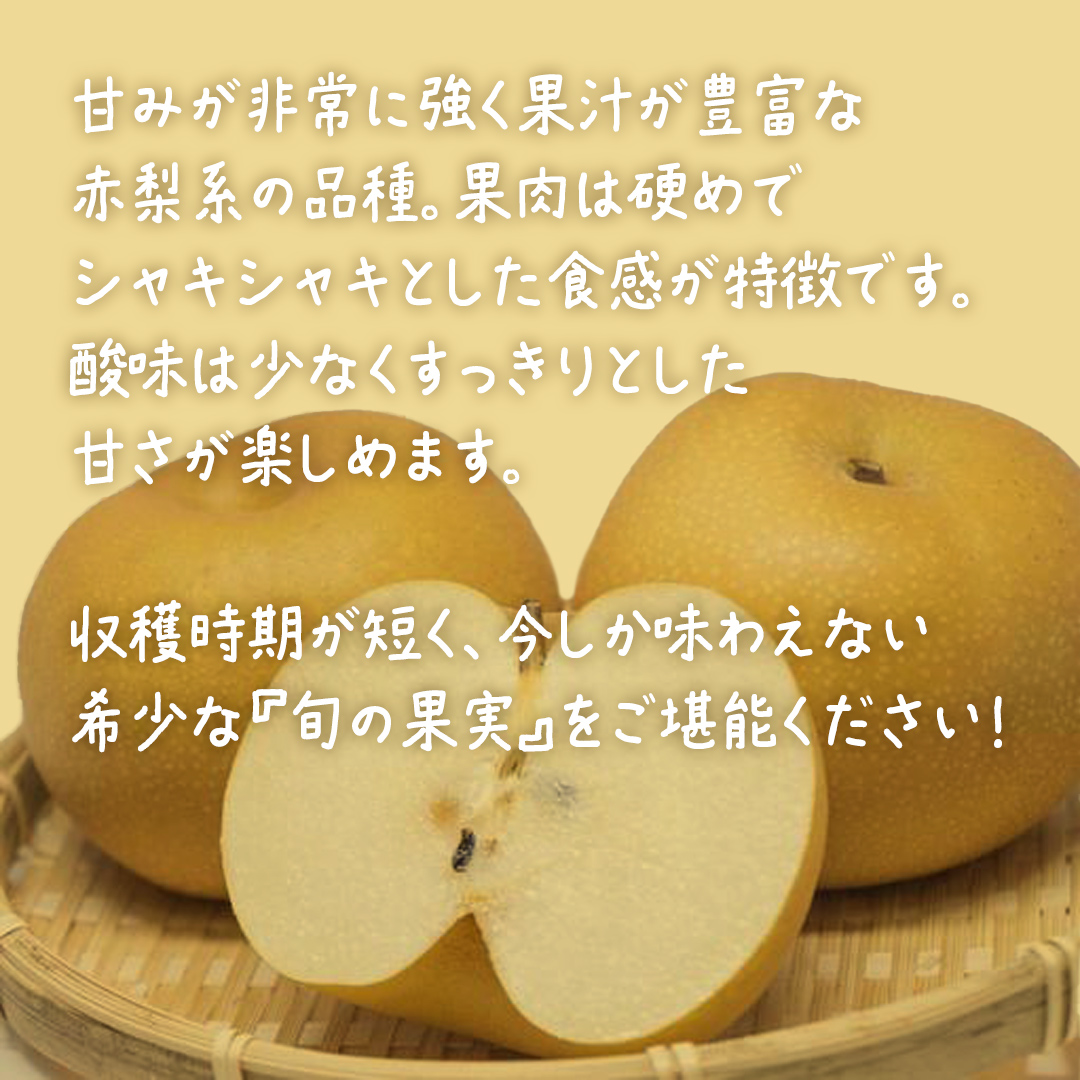 【 お中元 熨斗付き 】 幸水 約10kg (20～24玉)【2026年8月上旬発送開始】(茨城県共通返礼品：大子町) 梨 なし 果物 くだもの フルーツ