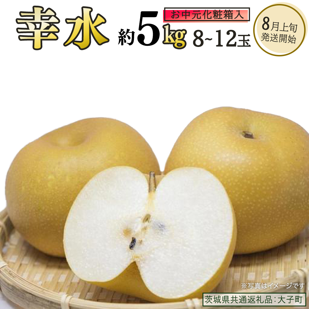 【 お中元 化粧箱入り】 幸水 約5kg (8～12玉)【2026年8月上旬発送開始】(茨城県共通返礼品：大子町) 梨 なし 果物 くだもの フルーツ