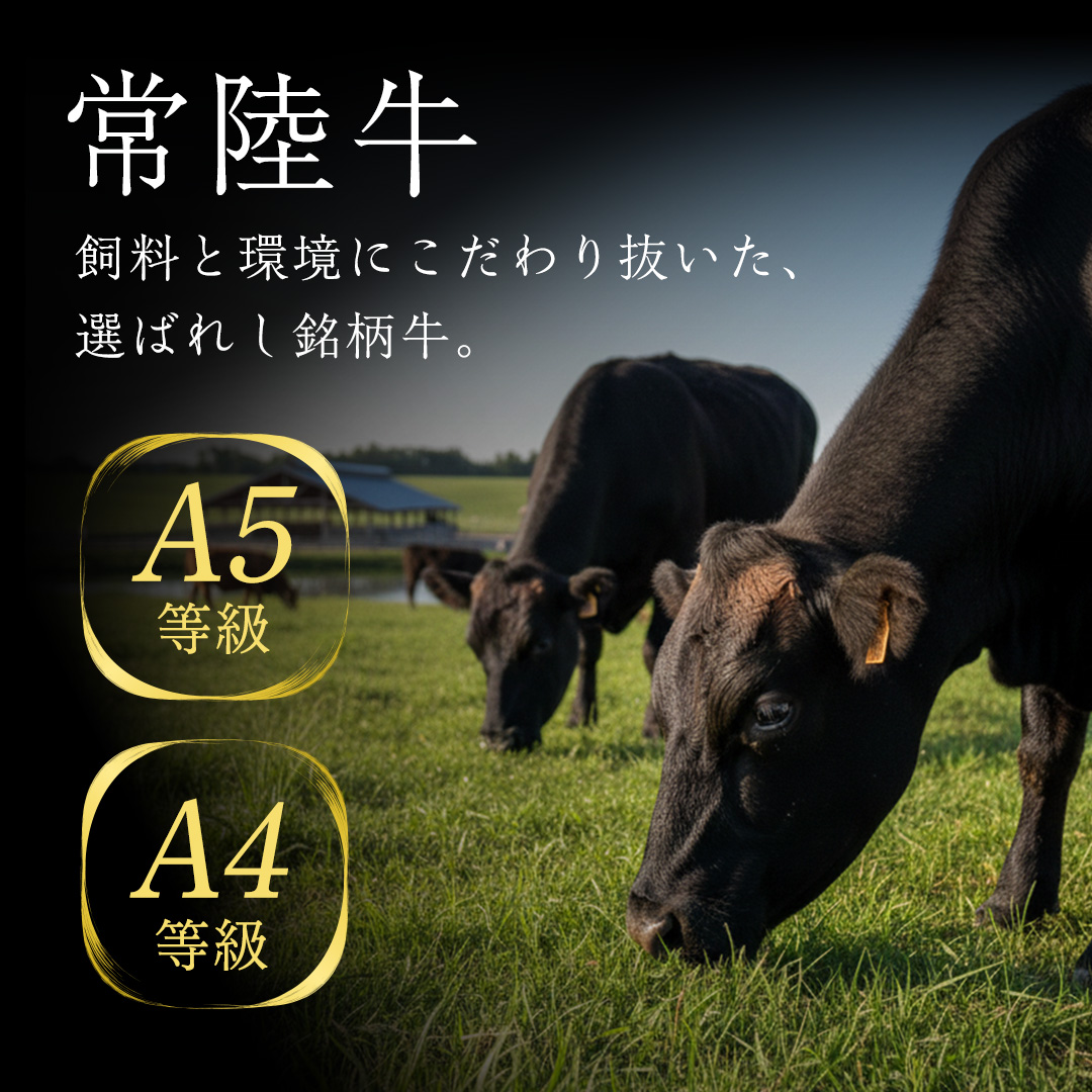【常陸牛】すき焼き しゃぶしゃぶ用 ( 赤身 450g )( 霜降 400g ) 食べ比べ セット ( 茨城県共通返礼品 ) 牛肉 国産 お肉 肉 すきやき すきやき肉 A4 A5 ブランド牛 黒毛和牛 和牛 国産黒毛和牛 国産牛