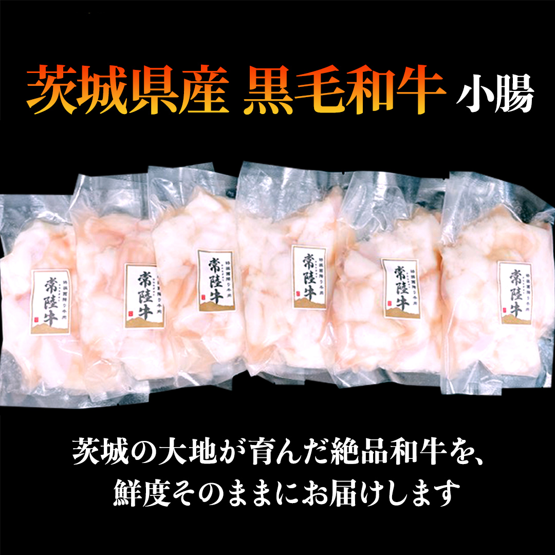 【茨城県産】 黒毛和牛 もつ鍋 焼肉用 小腸 1.2kg（200g×6パック） (茨城県共通返礼品) 国産 牛肉 肉 お肉 ホルモン もつ 焼肉