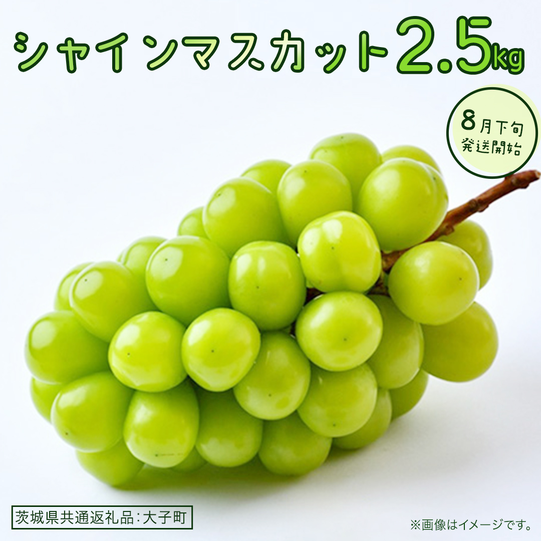 シャインマスカット 2.5kg 【2026年8月下旬発送開始】(茨城県共通返礼品：大子町) ぶどう 葡萄 ブドウ マスカット フルーツ 果物 贈答用 ギフト 贈り物