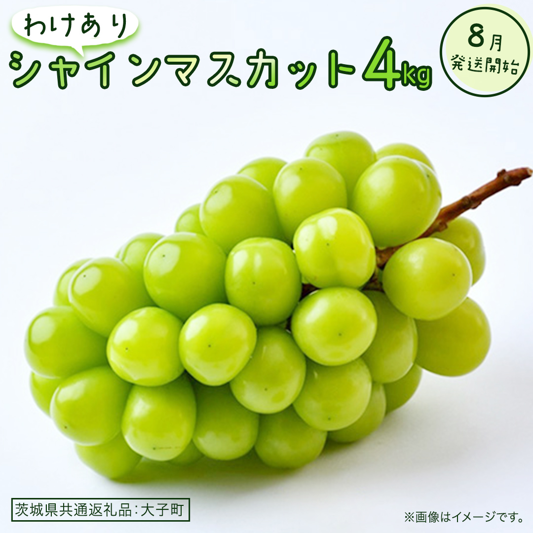 【 訳あり 】 シャインマスカット 4kg 【2026年8月発送開始】(茨城県共通返礼品：大子町) ぶどう 葡萄 マスカット フルーツ 果物 ワケあり ご自宅用 ご家庭用 自分用
