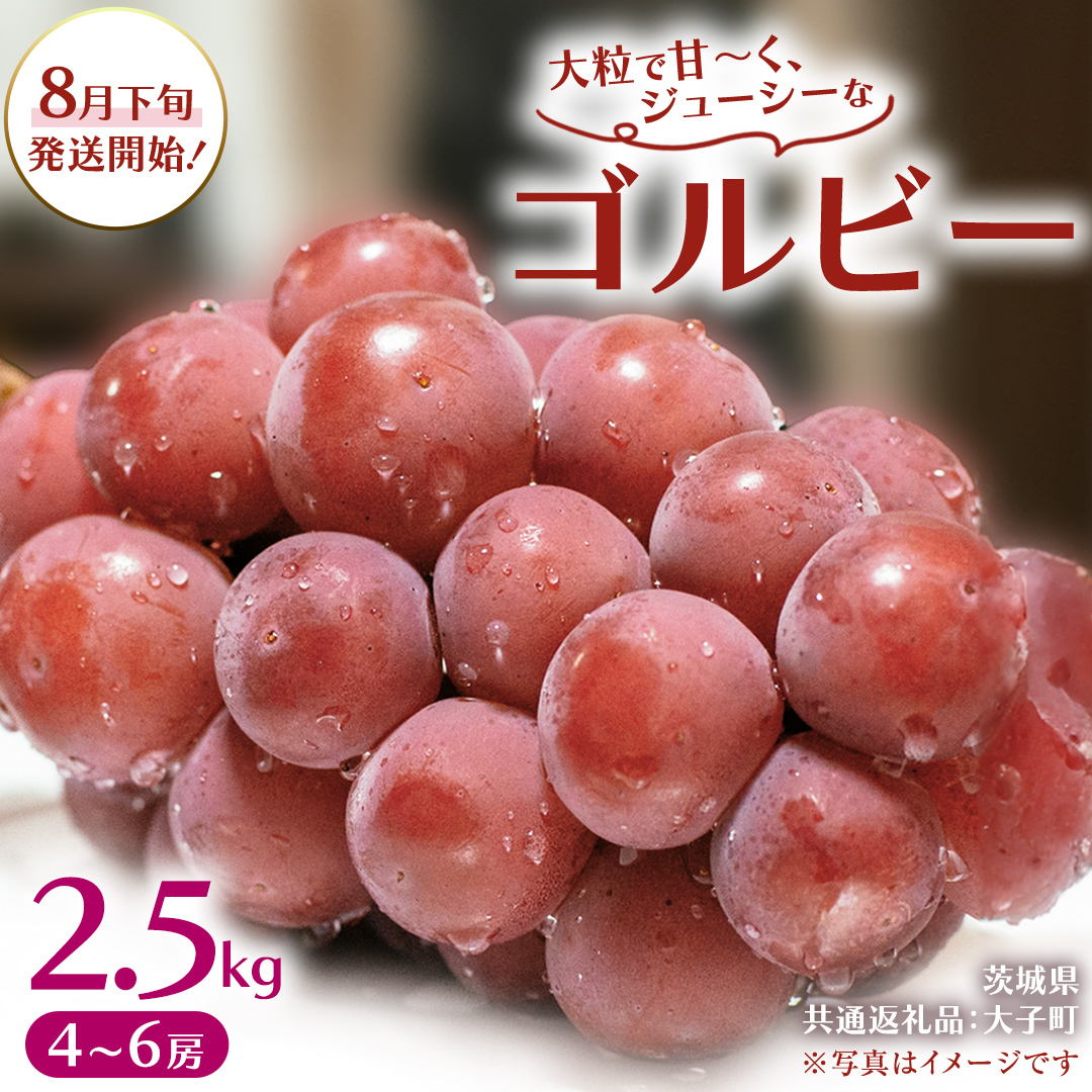 ゴルビー 2.5kg (4～6房)【2026年8月下旬発送開始】(茨城県共通返礼品：大子町) ぶどう 葡萄 ブドウ 果物 フルーツ 果実