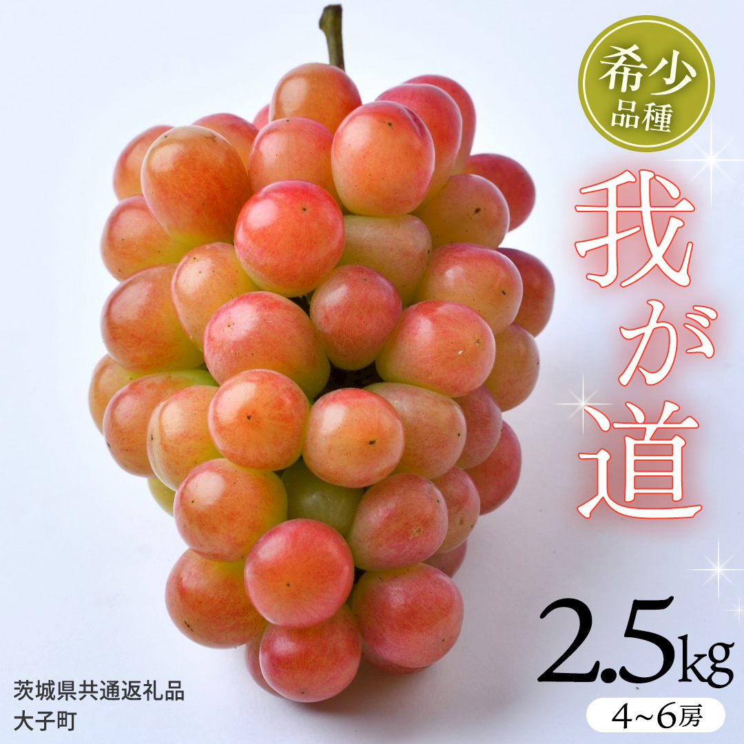 我が道 2.5kg (4～6房)【2026年8月下旬発送開始】(茨城県共通返礼品：大子町) シャインマスカット ウインク 葡萄 ブドウ ぶどう 果物 フルーツ 希少 新品種