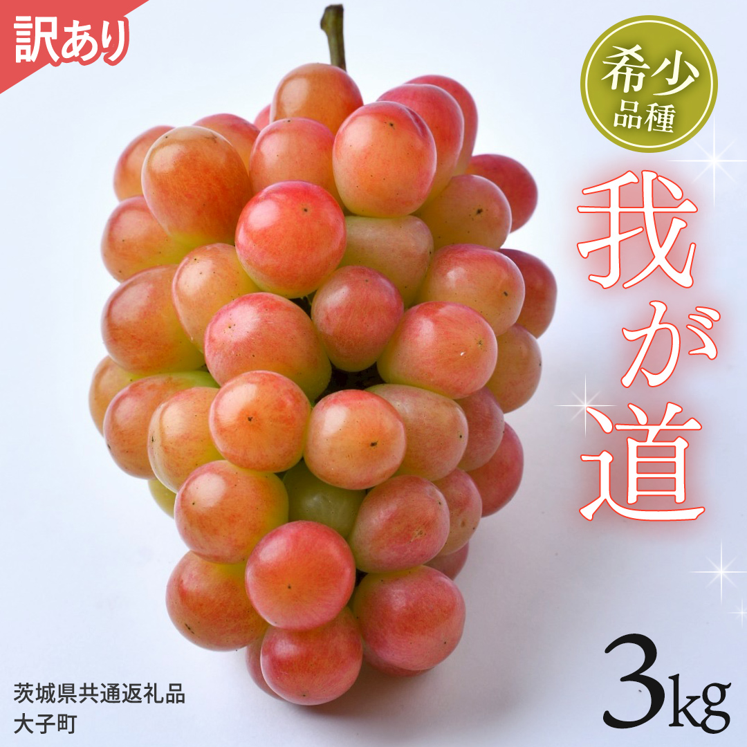 【 訳あり 】 我が道 3kg 【2026年9月発送開始】(茨城県共通返礼品：大子町) シャインマスカット ウインク 葡萄 ブドウ ぶどう 果物 フルーツ 希少 新品種　 わけあり ワケあり ご自宅用 ご家庭用 自分用