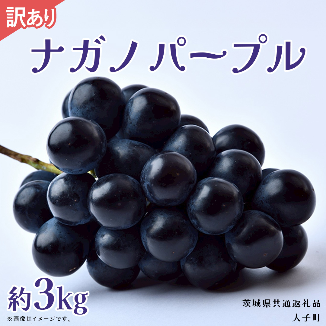 【 訳あり 】ナガノパープル 3kg 【2026年9月上旬発送開始】(茨城県共通返礼品：大子町) ぶどう 葡萄 ブドウ 果物 フルーツ 果実　 わけあり ワケあり ご自宅用 ご家庭用 自分用