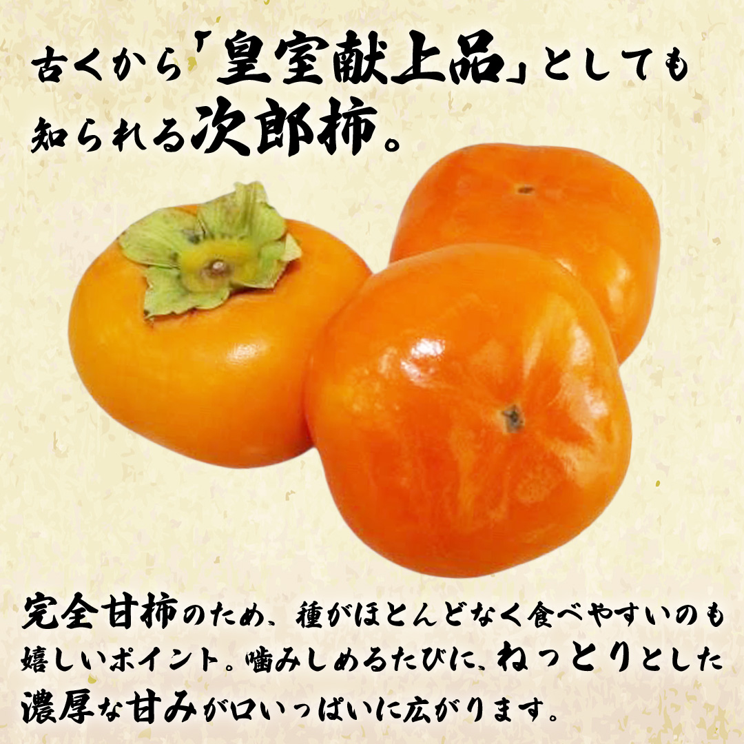 次郎柿 3kg 【2026年9月上旬発送開始】(茨城県共通返礼品：大子町) 柿 かき カキ 次郎柿 完全甘柿 秋の味覚 果物 フルーツ 旬