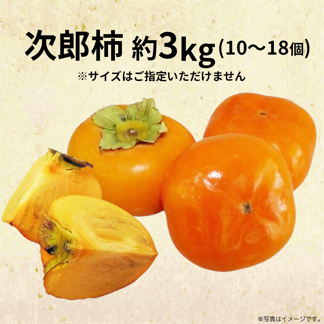 次郎柿 3kg 【2026年9月上旬発送開始】(茨城県共通返礼品：大子町) 柿 かき カキ 次郎柿 完全甘柿 秋の味覚 果物 フルーツ 旬