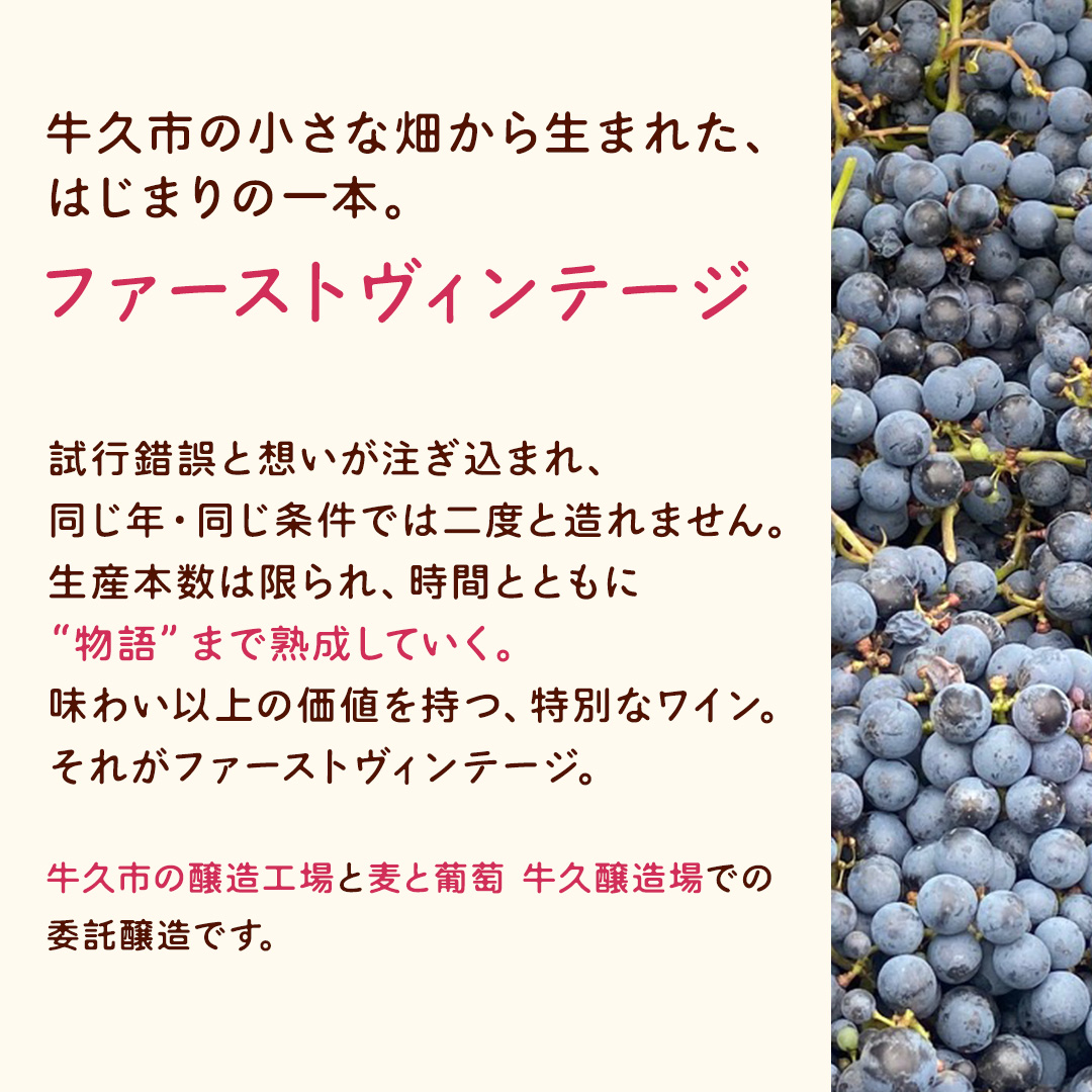 歩wine wild flower2025 ( 750ml ) 日本ワイン 牛久市 ブドウ 自然派ワイン 無濾過 ファーストヴィンテージ マスカット・ベーリーA ビジュノワール メルロー バルベーラ ワイン 酒 赤ワイン わいん