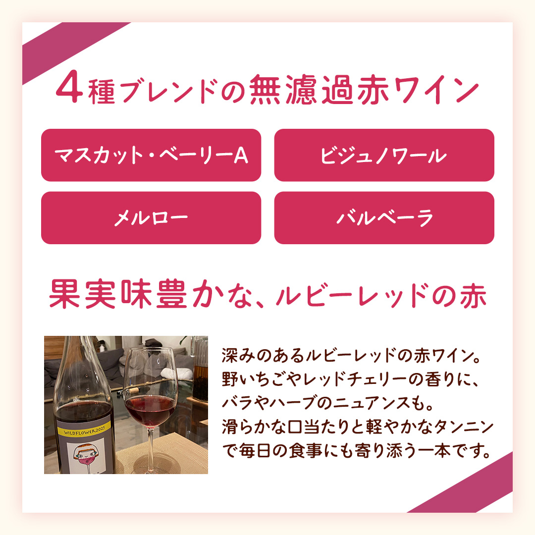歩wine wild flower2025 ( 750ml ) 日本ワイン 牛久市 ブドウ 自然派ワイン 無濾過 ファーストヴィンテージ マスカット・ベーリーA ビジュノワール メルロー バルベーラ ワイン 酒 赤ワイン わいん