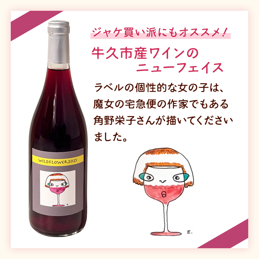 歩wine wild flower2025 ( 750ml ) 日本ワイン 牛久市 ブドウ 自然派ワイン 無濾過 ファーストヴィンテージ マスカット・ベーリーA ビジュノワール メルロー バルベーラ ワイン 酒 赤ワイン わいん