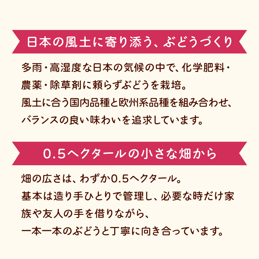 歩wine wild flower2025 ( 750ml ) 日本ワイン 牛久市 ブドウ 自然派ワイン 無濾過 ファーストヴィンテージ マスカット・ベーリーA ビジュノワール メルロー バルベーラ ワイン 酒 赤ワイン わいん