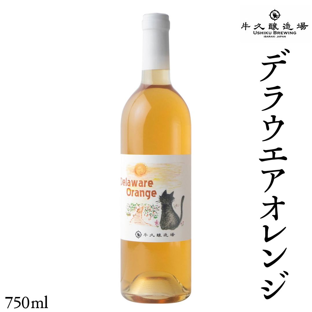 デラウエアオレンジ Delaware Orange 750ml×1 茨城県産 牛久醸造場 日本ワイン ワイン お酒 贈り物 上品 果実 クリスマス 誕生日 オレンジワイン 辛口 デラウェア ライトボディ