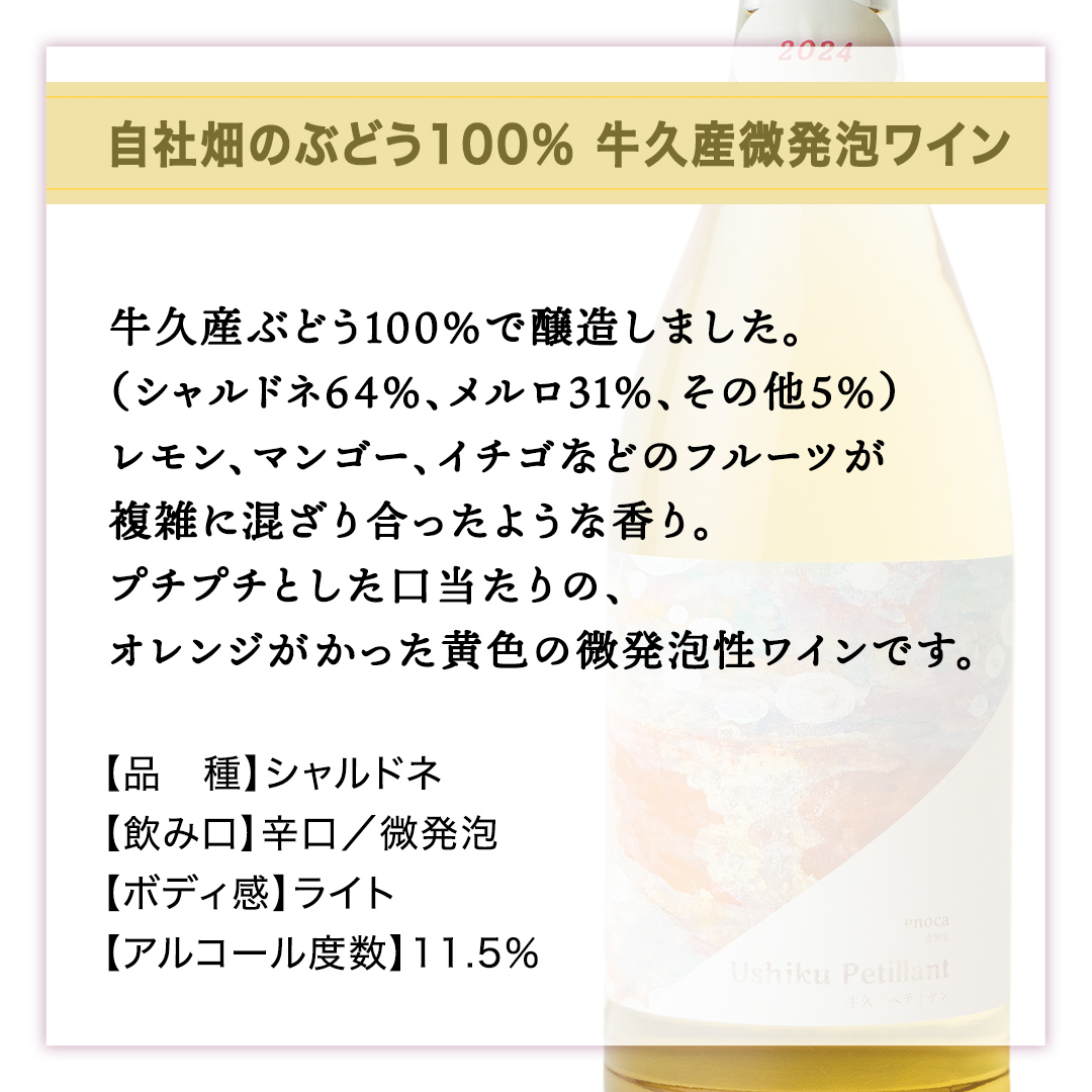 恵野果 牛久ペティヤン 2024 茨城県産 牛久醸造場 日本ワイン ワイン お酒 贈り物 上品 果実 クリスマス 誕生日 微発泡 スパークリング シャルドネ フルーティ 辛口 ライトボディ