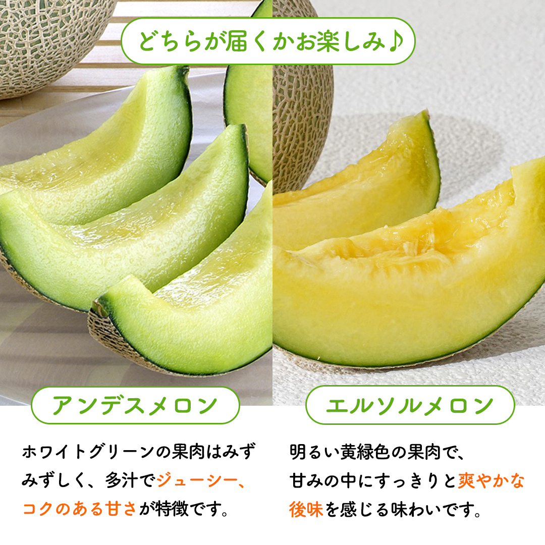 【5月下旬頃より発送】茨城県産 青肉・赤肉メロンセット 秀品または優品 3Lまたは4Lサイズ×各1玉入 おすすめ JA全農いばらき JA メロン めろん フルーツ くだもの 果物 国産旬 定番 旬 期間限定 青肉 赤肉 食べ比べ アンデス クインシー エルソル