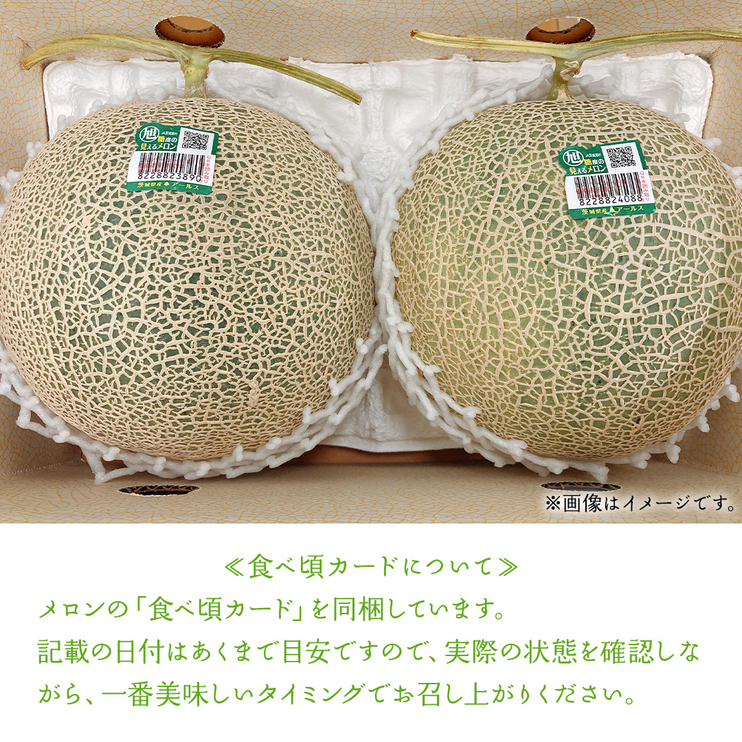 【5月下旬頃より発送】茨城県産 青肉・赤肉メロンセット 秀品または優品 3Lまたは4Lサイズ×各1玉入 おすすめ JA全農いばらき JA メロン めろん フルーツ くだもの 果物 国産旬 定番 旬 期間限定 青肉 赤肉 食べ比べ アンデス クインシー エルソル