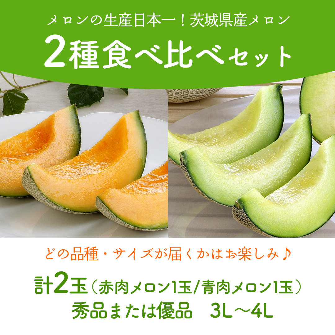 【6月上旬頃より発送】茨城県産 青肉・赤肉メロンセット 秀品または優品 3Lまたは4Lサイズ×各1玉入 おすすめ JA全農いばらき JA メロン めろん フルーツ くだもの 果物 国産旬 定番 旬 期間限定 青肉 赤肉 食べ比べ アンデス クインシー エルソル