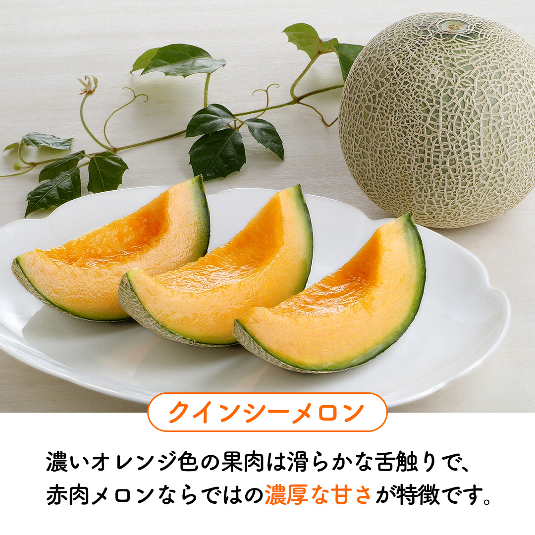 【6月上旬頃より発送】茨城県産 青肉・赤肉メロンセット 秀品または優品 3Lまたは4Lサイズ×各1玉入 おすすめ JA全農いばらき JA メロン めろん フルーツ くだもの 果物 国産旬 定番 旬 期間限定 青肉 赤肉 食べ比べ アンデス クインシー エルソル