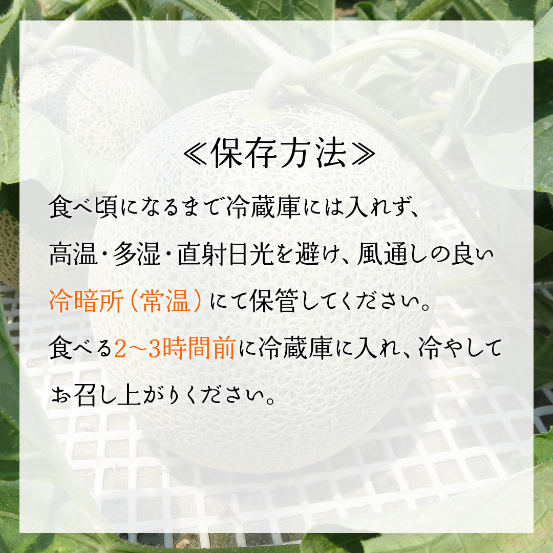【6月上旬頃より発送】茨城県産 青肉・赤肉メロンセット 秀品または優品 3Lまたは4Lサイズ×各1玉入 おすすめ JA全農いばらき JA メロン めろん フルーツ くだもの 果物 国産旬 定番 旬 期間限定 青肉 赤肉 食べ比べ アンデス クインシー エルソル