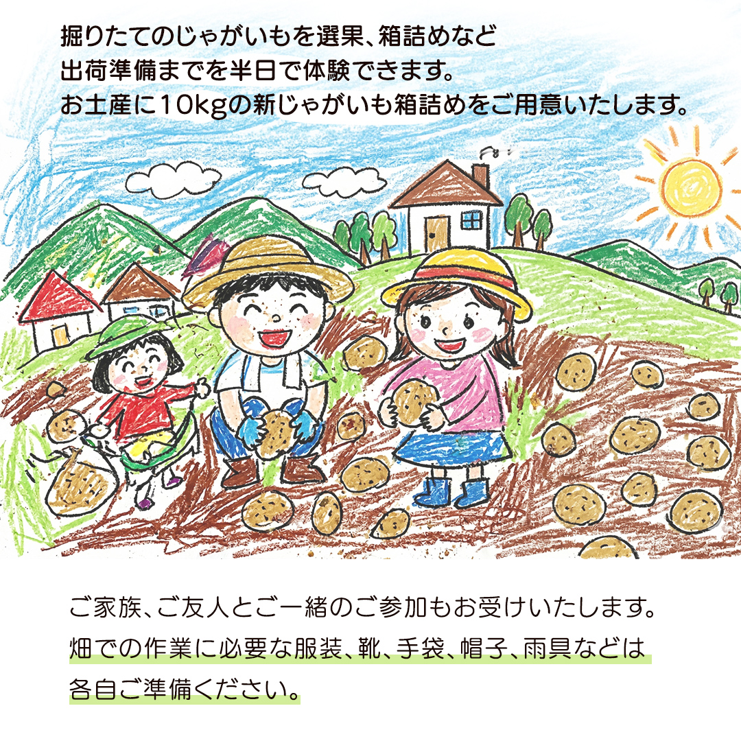 じゃがいも 「 とうや 」 収穫体験 (5/23（土）、5/24（日）開催) ジャガイモ 芋 収穫体験チケット 収穫 収穫体験 体験 チケット 観光 旅行 自然 農業体験 お土産 持ち帰り