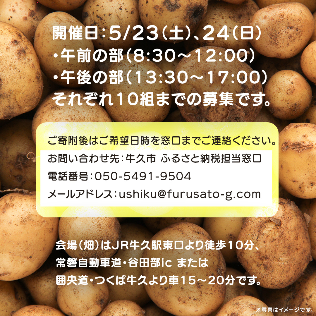 じゃがいも 「 とうや 」 収穫体験 (5/23（土）、5/24（日）開催) ジャガイモ 芋 収穫体験チケット 収穫 収穫体験 体験 チケット 観光 旅行 自然 農業体験 お土産 持ち帰り