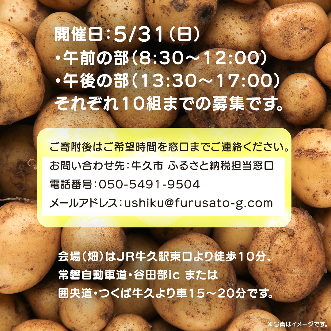 じゃがいも 「 とうや 」 収穫体験 (5/31（日）開催) ジャガイモ 芋 収穫体験チケット 収穫 収穫体験 体験 チケット 観光 旅行 自然 農業体験 お土産 持ち帰り