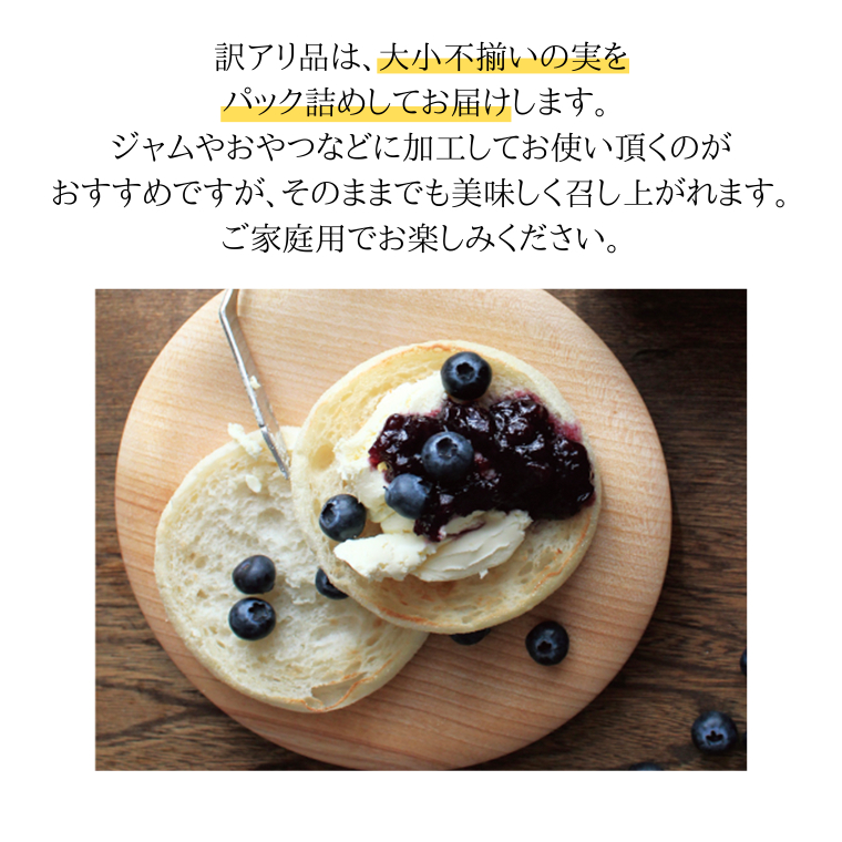 《 先行予約 》ブルーベリー 大小不揃い 約 1kg【2026年6月中旬頃より発送開始】 訳アリ B品 お得 甘い 甘酸っぱい 産地直送 おやつ デザート ジャム スムージー