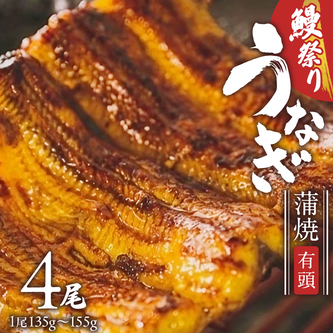 【牛久うなぎ祭り開催！期間限定の特別受付スタート】鹿児島県産 有頭 鰻 蒲焼 × 4尾 （ 1尾 135g ～ 155g 以上） 土用の丑の日 鰻祭りうなぎ ウナギ 土用丑の日 家庭用 贅沢 国産 旬 敬老の日 タレ 山椒 付 縁起