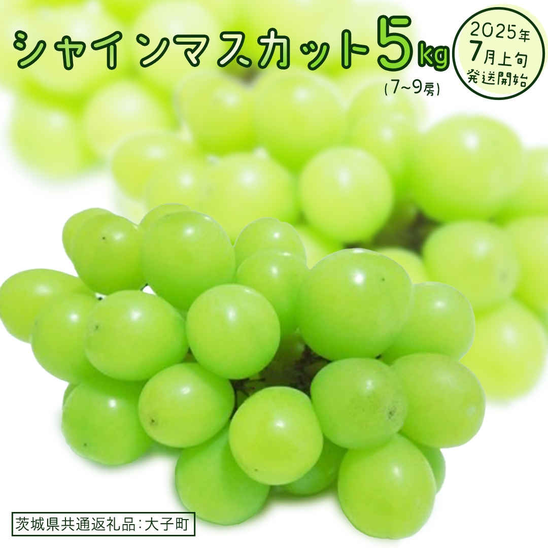 シャインマスカット 5kg (7～9房)【2025年7月上旬発送開始】(茨城県共通返礼品：大子町)　ぶどう 葡萄 ブドウ マスカット フルーツ 果物 贈答用 ギフト 贈り物