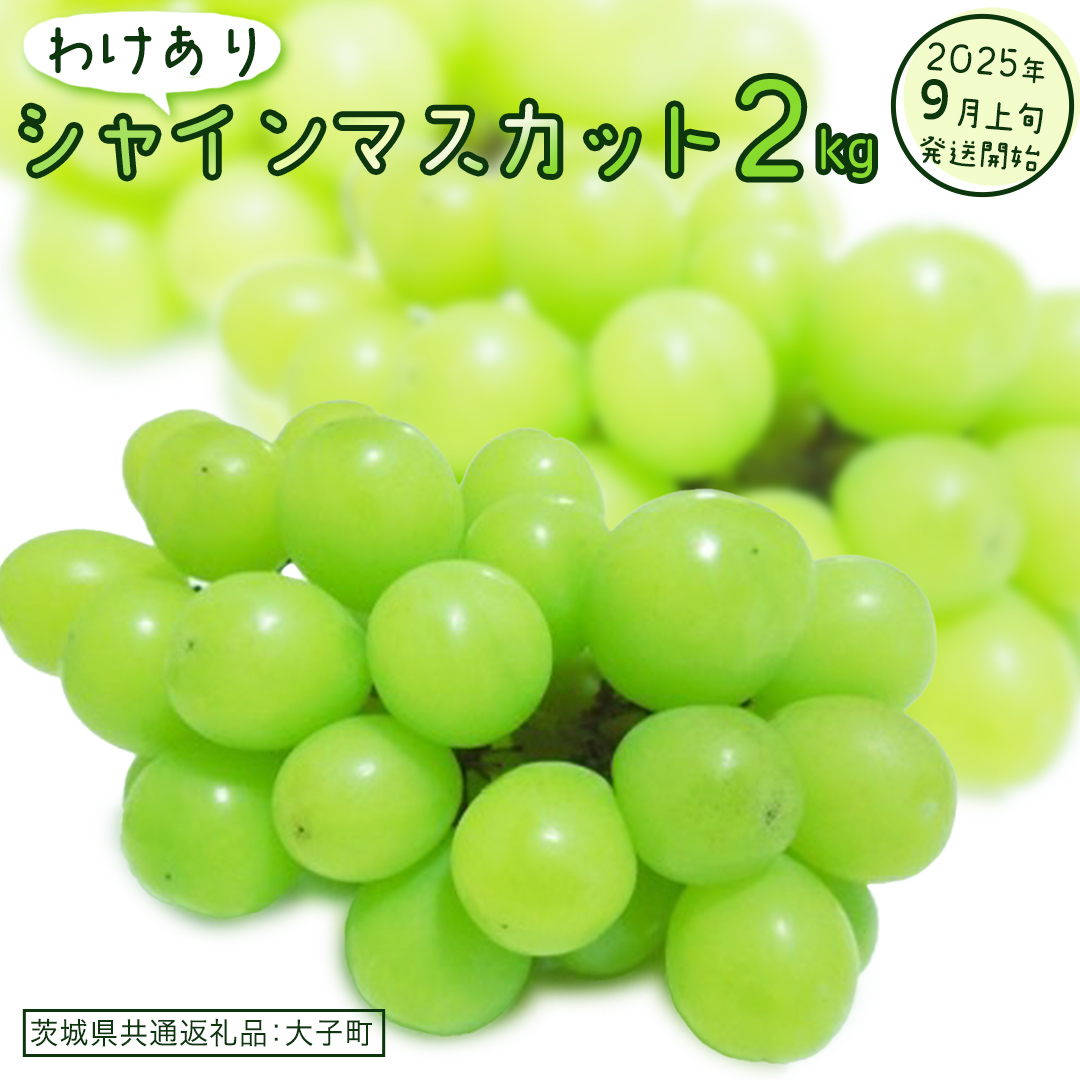【 訳あり 】 シャインマスカット 2kg 【2025年9月上旬発送開始】(茨城県共通返礼品：大子町)  ぶどう 葡萄 マスカット フルーツ 果物 ワケあり ご自宅用 ご家庭用 自分用