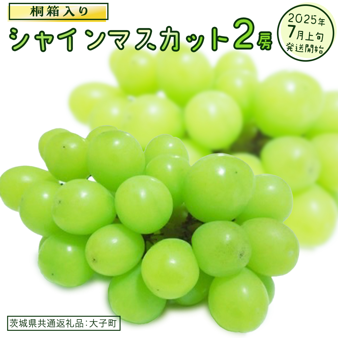 【桐箱入り】 シャインマスカット ２房 【2025年7月上旬発送開始】(茨城県共通返礼品：大子町)  ぶどう 葡萄 マスカット フルーツ 果物 贈答用 ギフト 贈り物