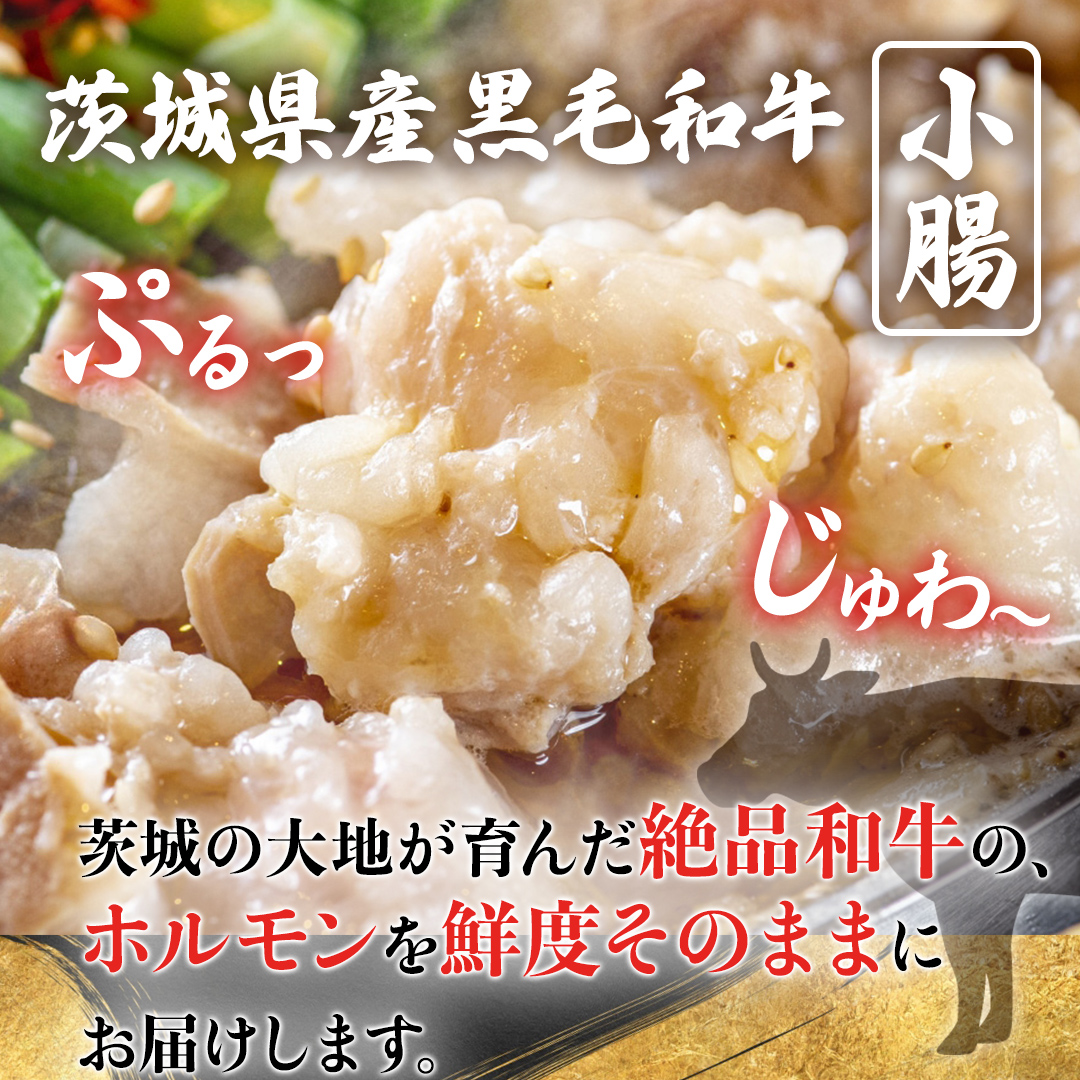 【茨城県産】 黒毛和牛 小腸 2種セット 800g （ 味付き ・ 味なし 各200g×2）食べ比べ (茨城県共通返礼品) 国産 牛肉 肉 お肉 ホルモン もつ 和牛 小腸 ホルモン 味付き 味付ホルモン タレ漬け 焼肉 BBQ 小分け 冷凍 料理 簡単