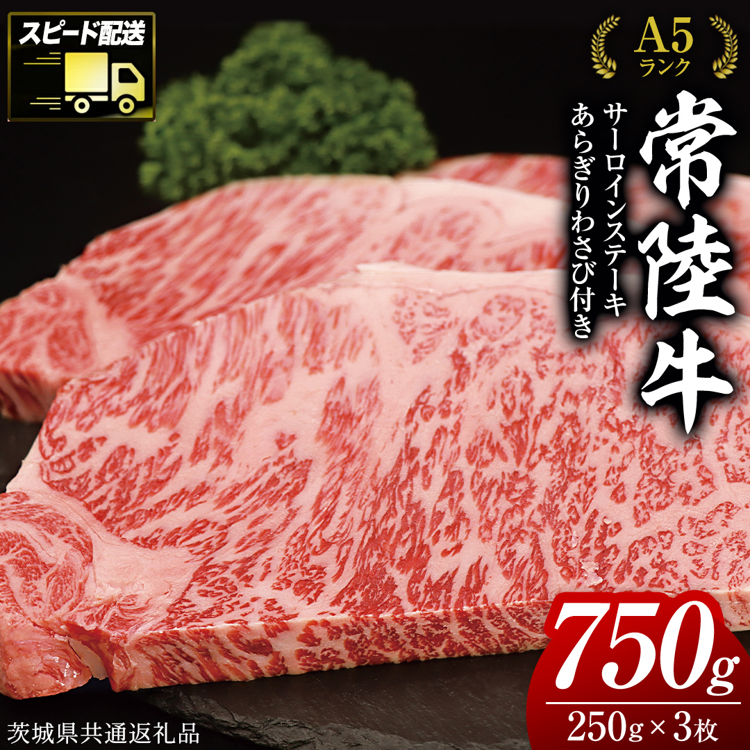 【 スピード発送 】 【常陸牛 】 A5 等級 サーロイン ステーキ 250g × 3枚（ 合計 750g ） あらぎり わさび 1本付 ( 茨城県共通返礼品 ) 黒毛和牛 国産 お肉 肉 A5ランク ブランド牛 牛肉 ひたち牛 ブランド和牛 ステーキ用 ワサビ付 山葵 焼肉 焼き肉 バーベキュー BBQ 化粧箱 ギフト