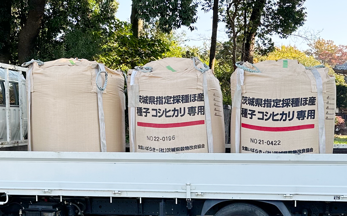 令和7年産 市左衛門農場コシヒカリ5kg (玄米)【 米 こめ こしひかり コシヒカリ ご飯 玄米 5kg 令和7年産 茨城県 つくば市 】