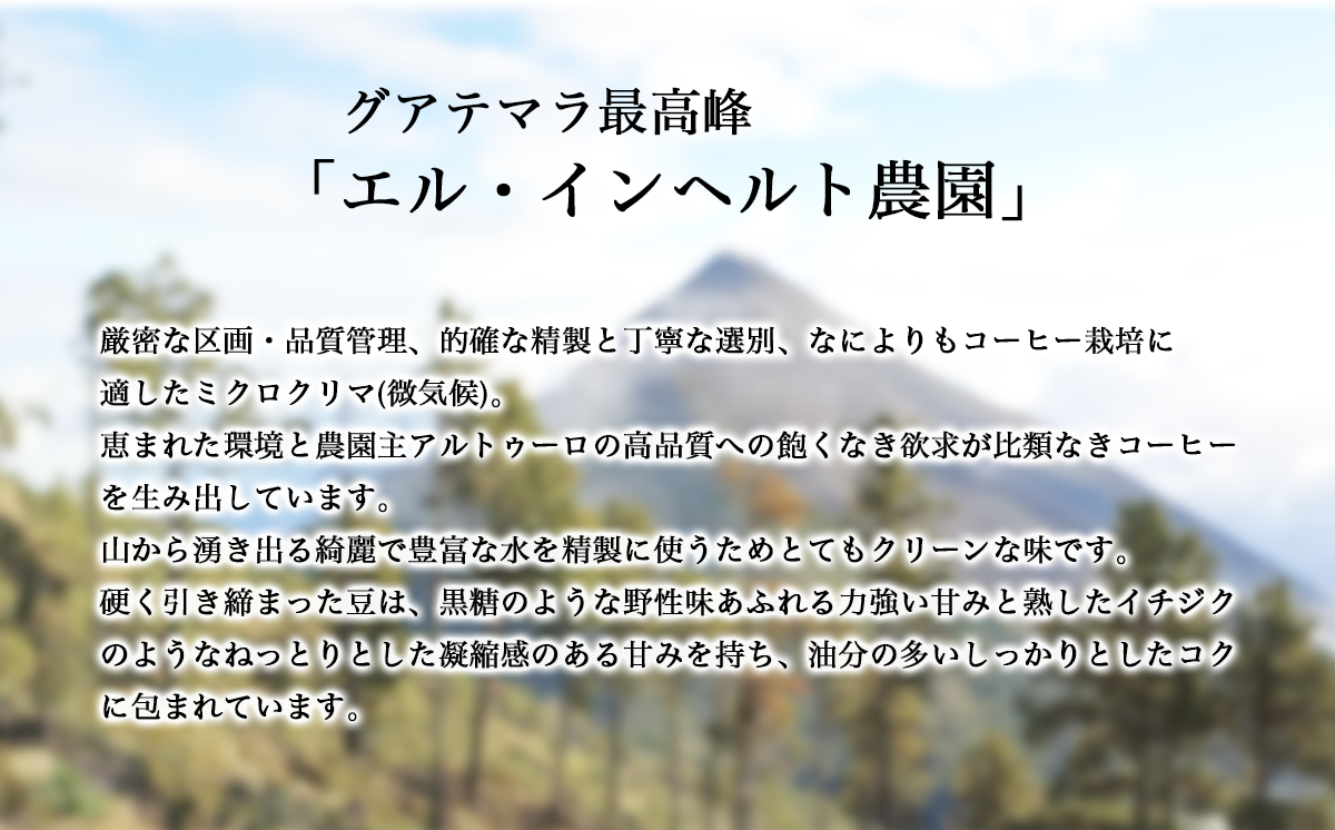 ã¹ãã·ã£ã«ãã£çç²è±ã®ã°ã¢ããã©ïŒãã©ãã£ã·ã§ãã« å200gé£²ã¿æ¯ã¹ã»ããïŒèš400gïŒã ã³ãŒã㌠çç² ã³ãŒããŒè± çç²è± èªå®¶çç
èšåç ã€ãã°åž ã