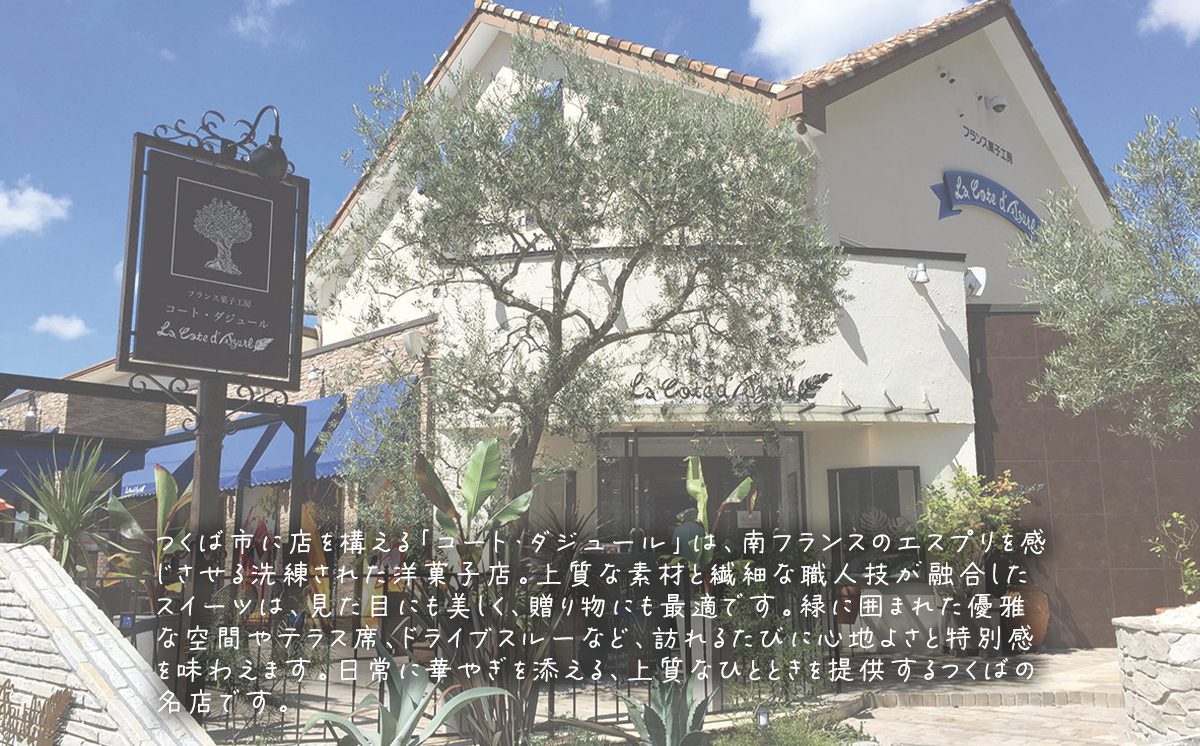 コート・ダジュール はんじゅくちーず 30個入 【 チーズ チーズケーキ スフレ ケーキ お菓子 菓子 スイーツ おやつ デザート ギフト 贈答 お土産 人気 茨城県 つくば市 】