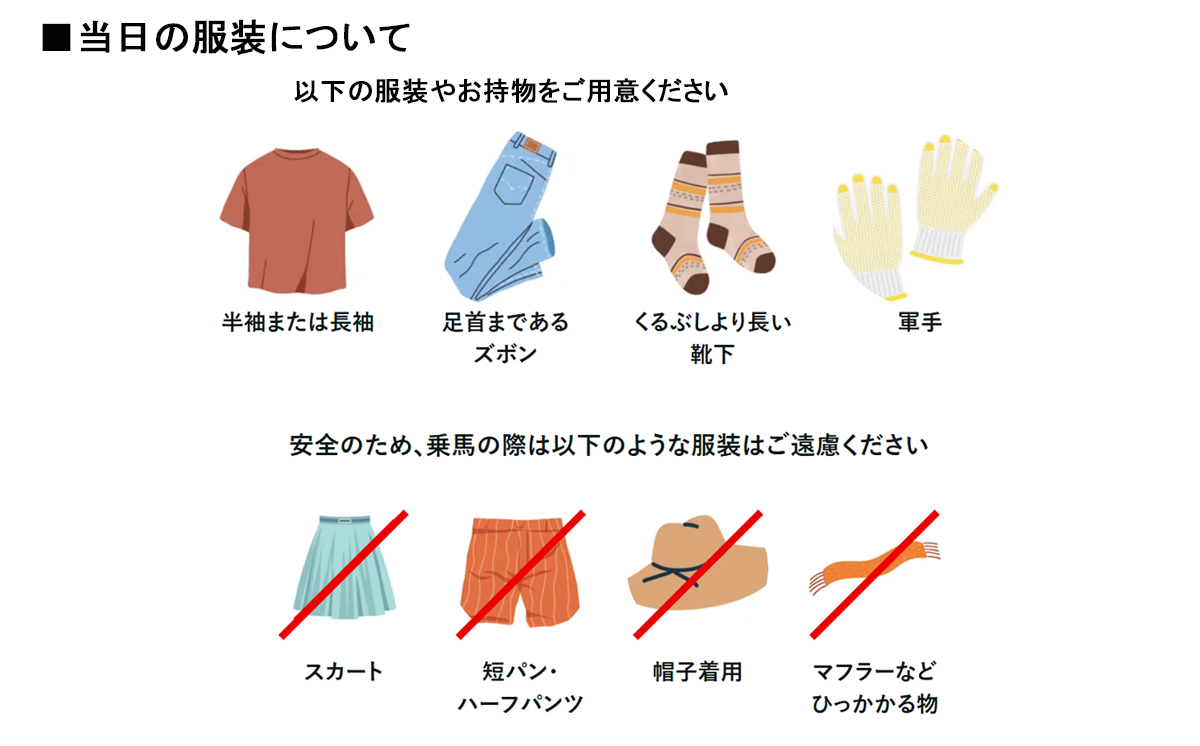 乗馬クラブクレイン茨城　【45分しっかり】乗馬体験チケット【 乗馬 乗馬クラブ 体験チケット 乗馬体験 子ども 子供 キッズ 家族 ファミリー クレイン 夏休み 休日 GW 茨城県 つくば市 】