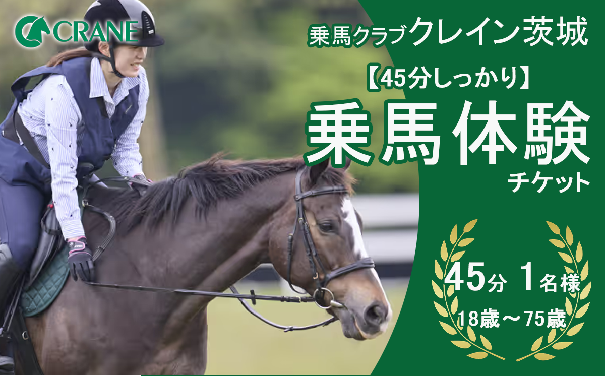 乗馬クラブクレイン茨城　【45分しっかり】乗馬体験チケット【 乗馬 乗馬クラブ 体験チケット 乗馬体験 子ども 子供 キッズ 家族 ファミリー クレイン 夏休み 休日 GW 茨城県 つくば市 】