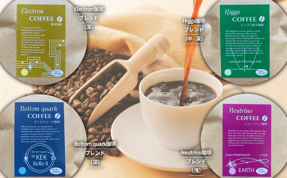もっくん珈琲のコーヒー豆『KEK素粒子珈琲』(豆のまま)　100g×4種 計400g　【 コーヒー 珈琲 粉 コーヒー豆 自家焙煎 スペシャルティコーヒー ギフト 茨城県 つくば市 】