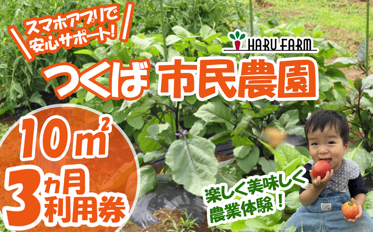 【専用スマホアプリがサポート！】ハルファームの市民農園利用券　(10㎡ 3ヵ月分) 【 茨城県 つくば市 農園 貸農園 貸し農園 農業体験 農業 野菜収穫 体験 野菜体験 チケット 旬野菜 採れたて野菜 】