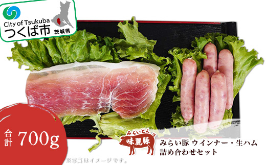 オリジナル みらい豚 粗挽きホワイトウインナー ・ みらい豚生ハム詰め合わせセット 村下商事【 豚肉 豚 ぶた肉 詰合せ 豚肉セット ブランド豚 銘柄豚 ポーク 冷凍 茨城県 つくば市 】