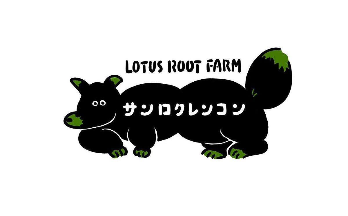 2kg 筑波山の麓で採れたサンロクレンコン 朝採れをすぐに発送